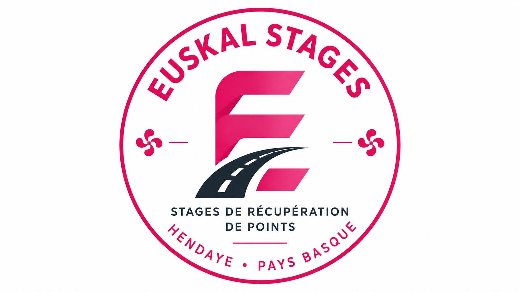 Récupération points permis hendaye